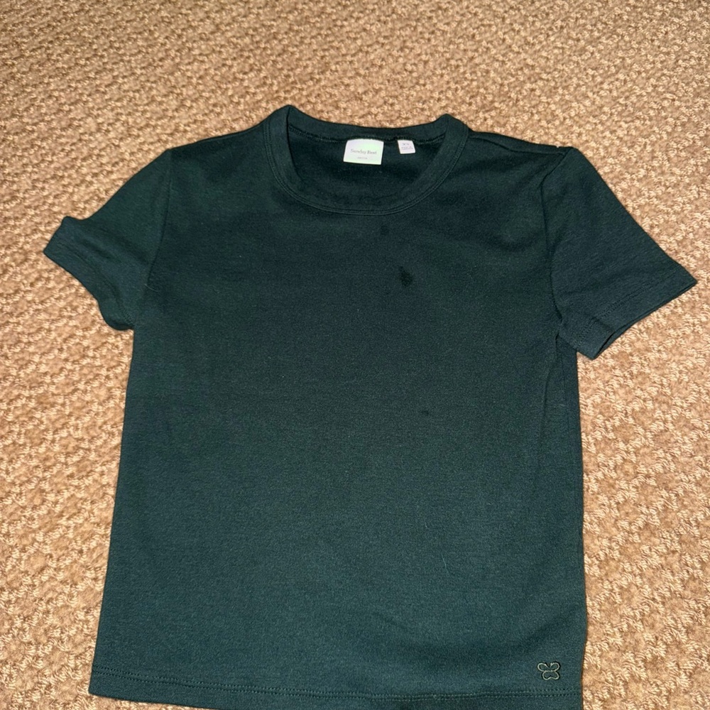 ARITZIA green T shirt